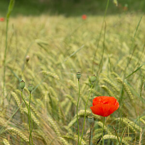 Franken-Juni2020-105.jpg