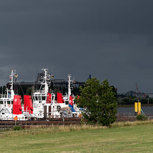 20200710-003-2.jpg