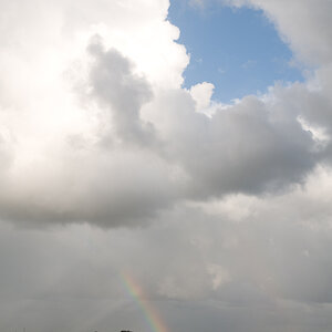 20080716-_DSC0515-2.jpg
