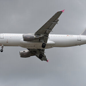 DSC_0472.JPG