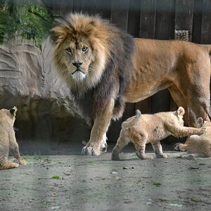 comp_DSC_0307.jpg
