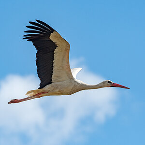 OF5_02469.jpg