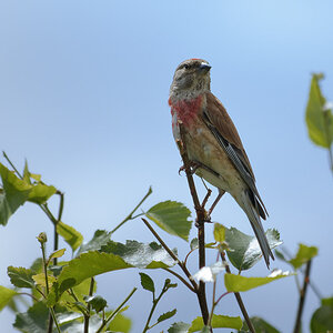 _DSC8151NF.jpg