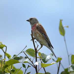 _DSC8152NF.jpg