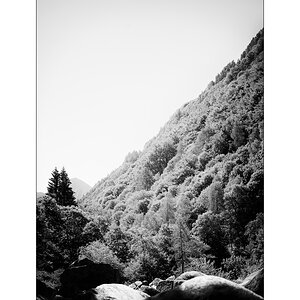 ReDSC_0515.jpg
