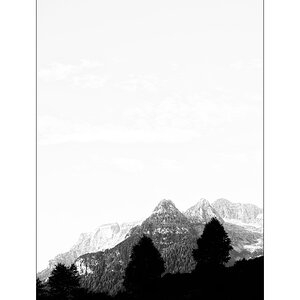 ReDSC_0578.jpg