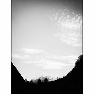 ReDSC_0581.jpg