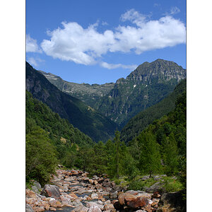 ReDSC_0612.jpg