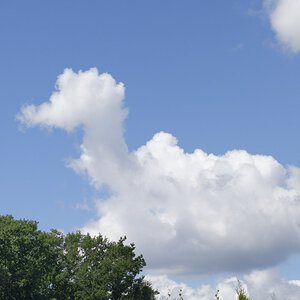 _DSC8149NF.jpg