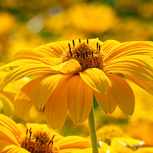 OF2_42670.jpg