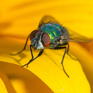OF2_42690.jpg