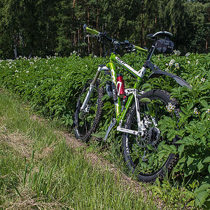 Kartoffelbike 2 (1 von 1).JPG