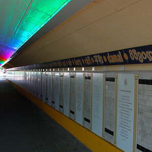 20170517-016.jpg