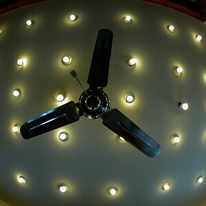 20200707-051.jpg