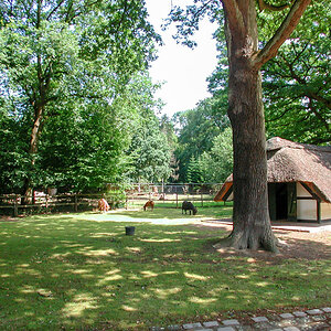20200713-061.jpg