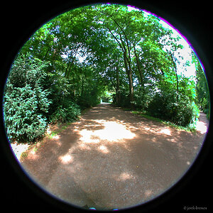 20200713-081.jpg