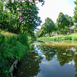 20200713-083.jpg