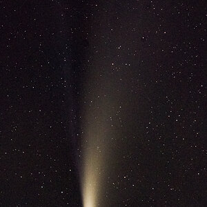 Neowise