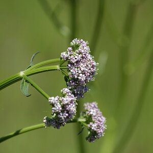 _DSC7632NF.jpg