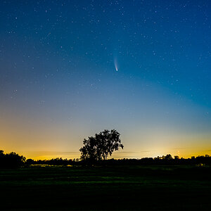 Neowise mit Baum