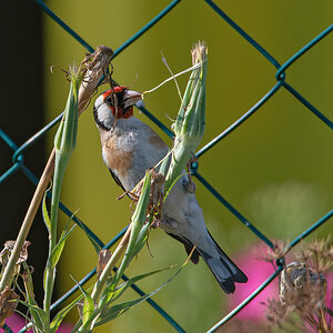 OF5_03395.jpg