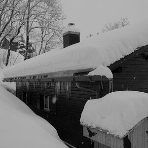 _DSC4674.jpg