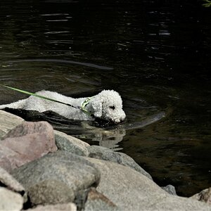 _IMG5690.JPG
