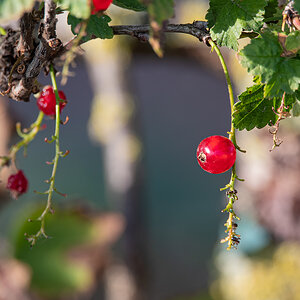 OF5_03494.jpg