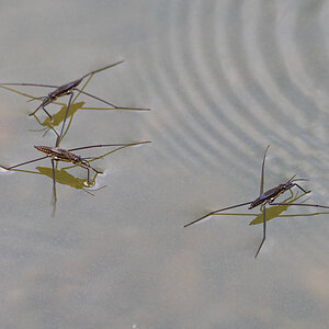 OF5_03512.jpg