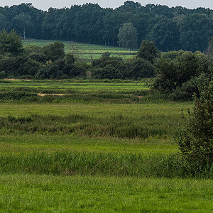 In den Seewiesen (1 von 1).JPG