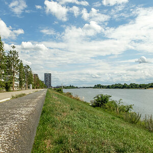 20200722-005.jpg