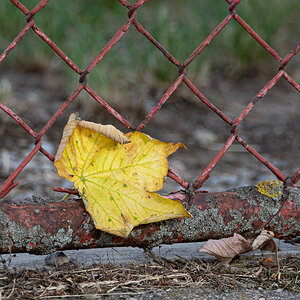 OF5_03534.jpg