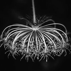 Upside Down (1 von 1).JPG