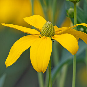 OF5_03554.jpg