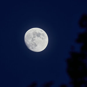 DSC_6936.jpg