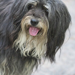 OLD 2020 - -185.jpg