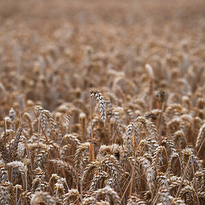 811_6305fks60p1.jpg