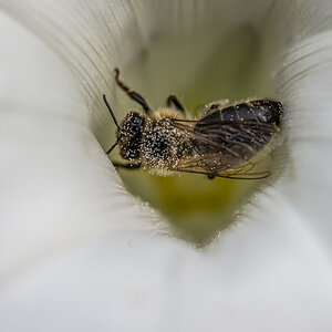 _HAR6379-2.jpg