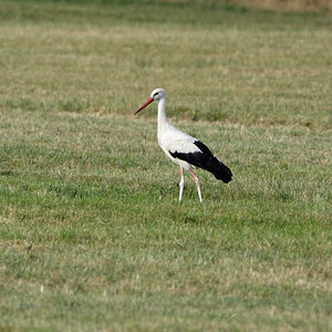 D72_5868_DxO.jpg