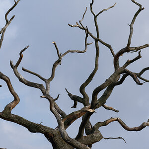 D72_5899_DxO.jpg