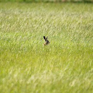 D72_5912_DxO.jpg