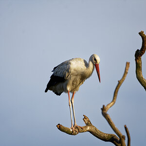 D72_5959_DxO.jpg
