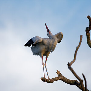D72_6005_DxO.jpg