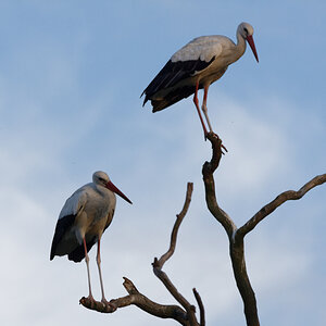 D72_6009_DxO.jpg