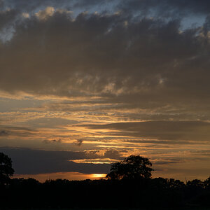 NZ6_5645_DxO.jpg