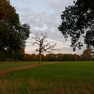 NZ6_5656_DxO.jpg
