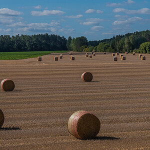 Rundballen (1 von 1).JPG