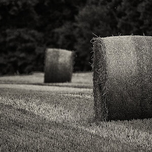 Rundballen BW (1 von 1).JPG