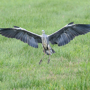 DSC_9033.jpg