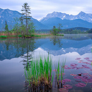 See + Berge